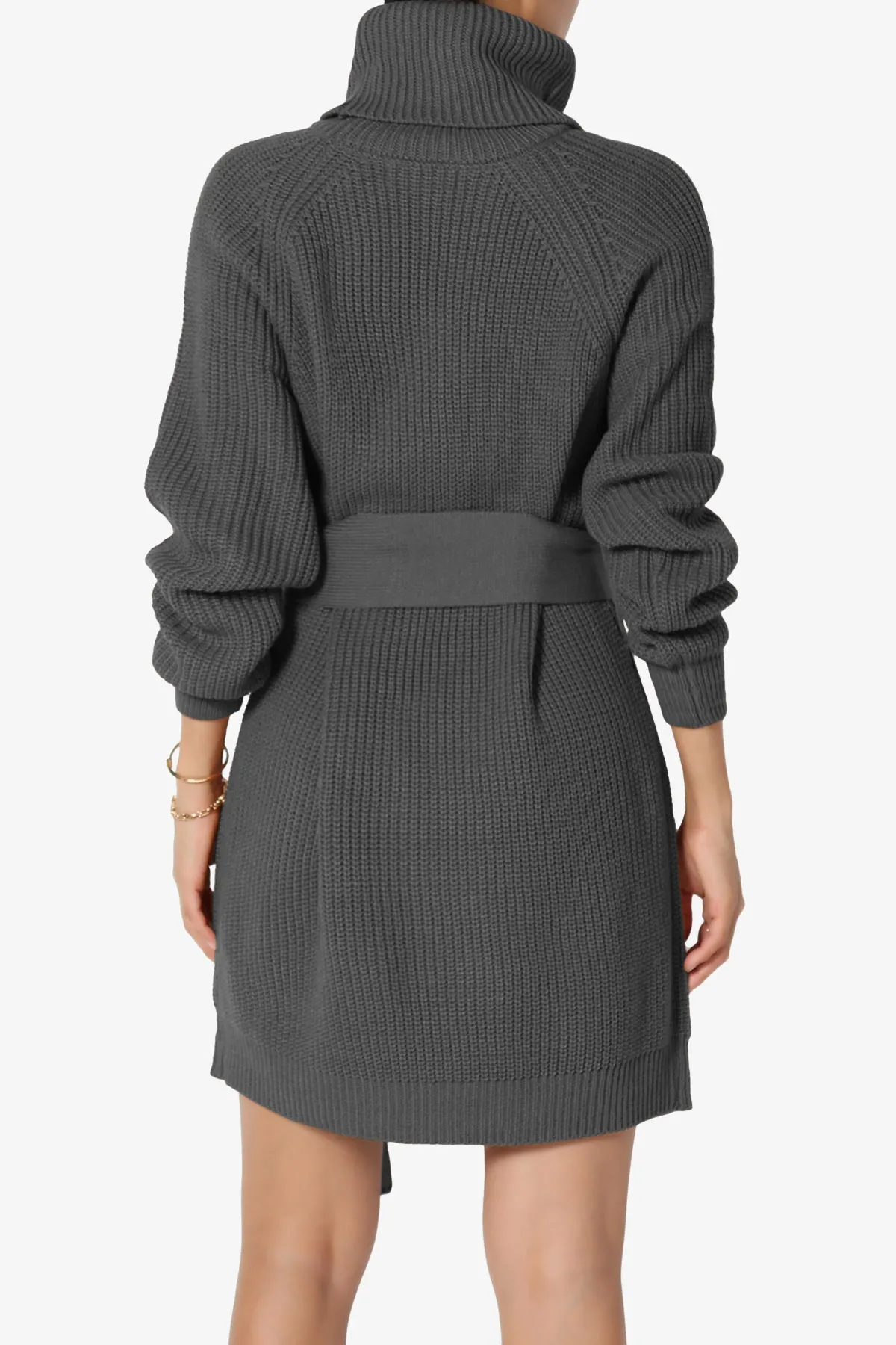 Arkin Turtle Neck Pullover Sweater Mini Dress