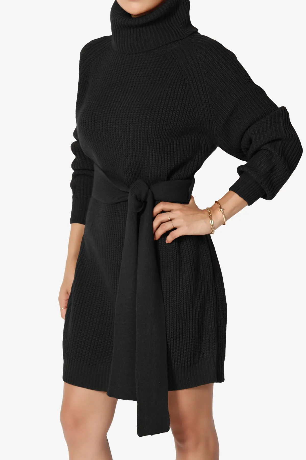 Arkin Turtle Neck Pullover Sweater Mini Dress