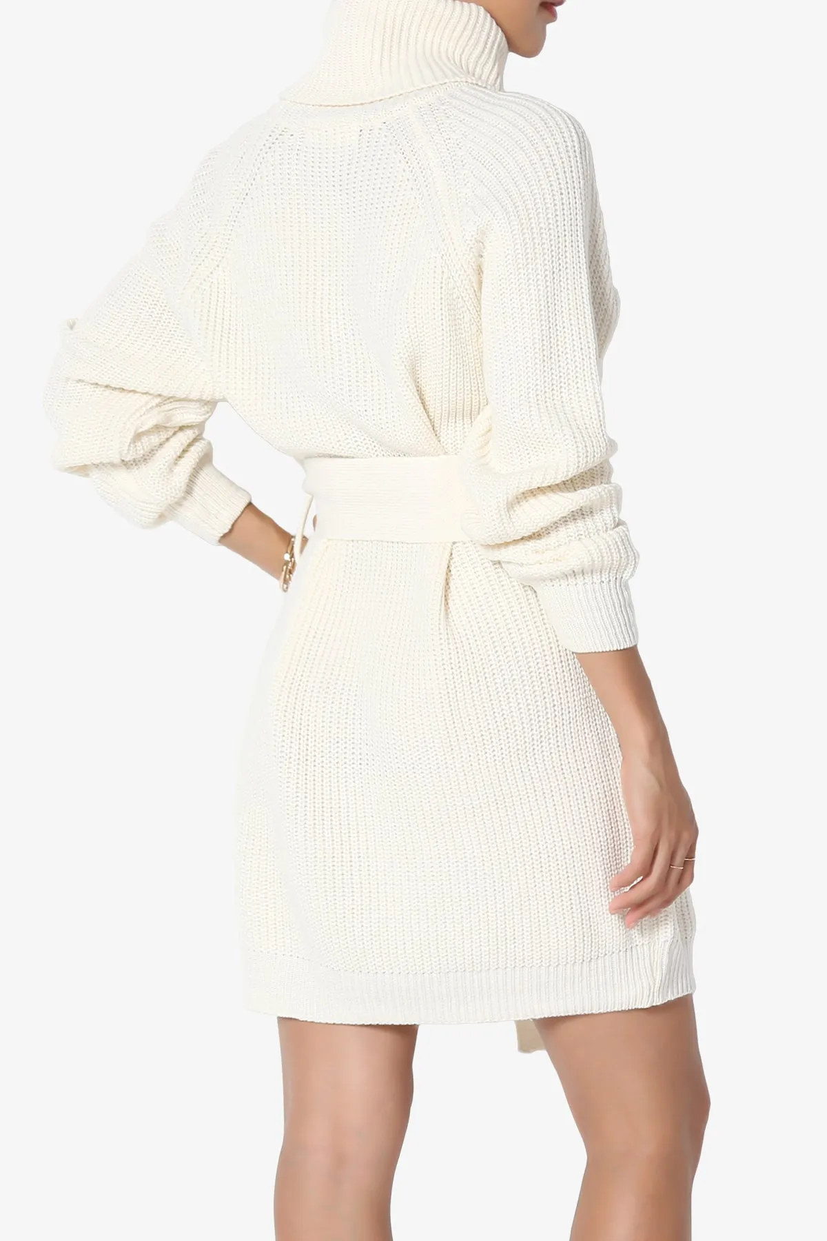 Arkin Turtle Neck Pullover Sweater Mini Dress