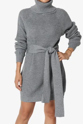 Arkin Turtle Neck Pullover Sweater Mini Dress