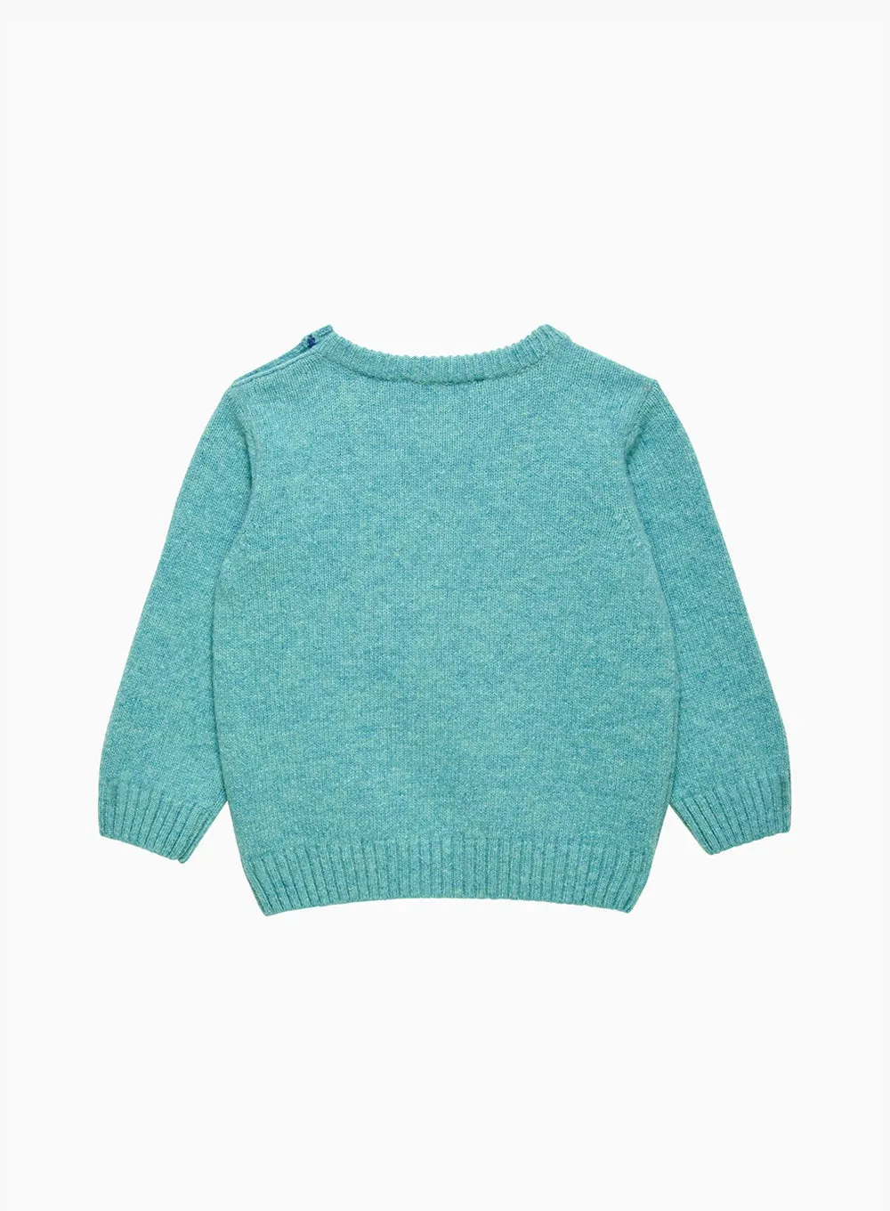 Baby Sebastian Car Jumper